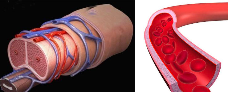 熱水改善血液循環 熱水改善血液循環