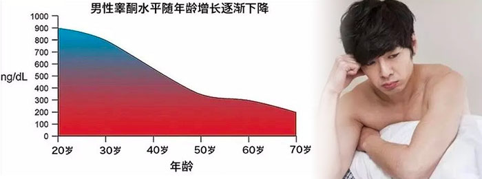 睪固酮濃度不足 睪固酮濃度不足